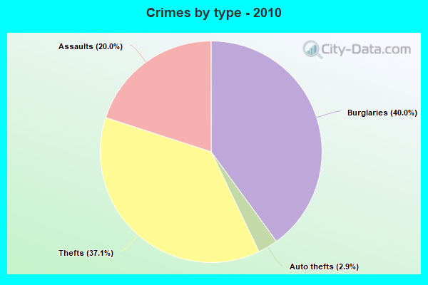 Crimes by type - 2010