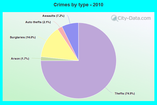 Crimes by type - 2010