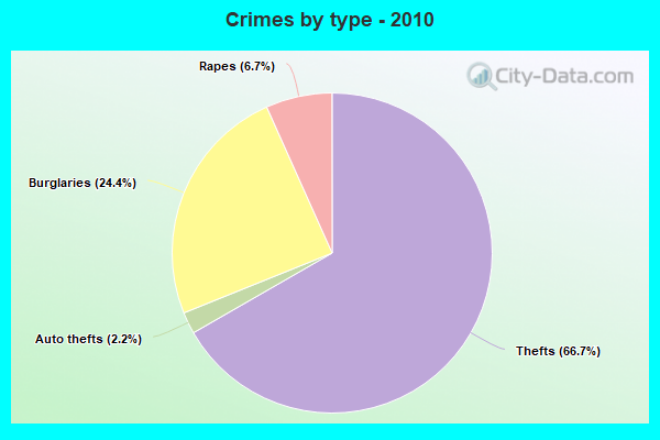 Crimes by type - 2010