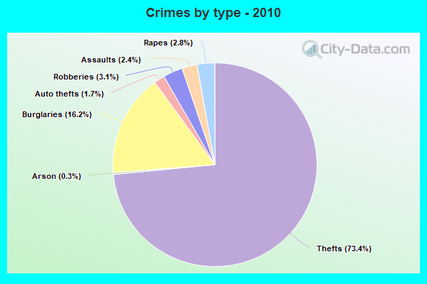 Crimes by type - 2010