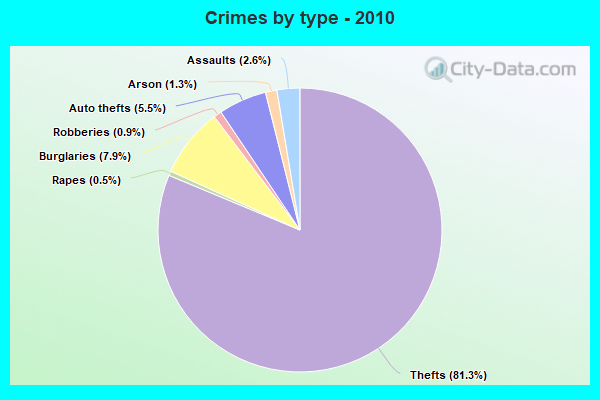 Crimes by type - 2010