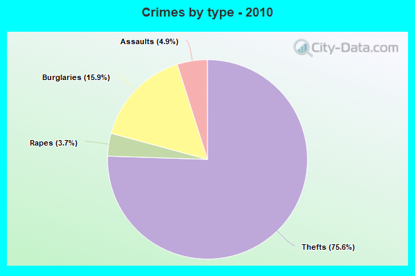 Crimes by type - 2010