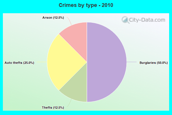 Crimes by type - 2010