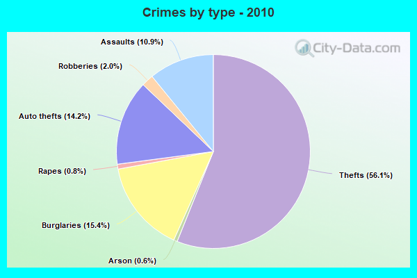 Crimes by type - 2010