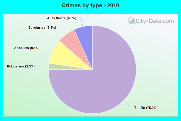 Crimes by type - 2010