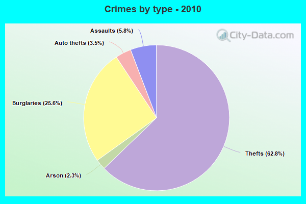 Crimes by type - 2010