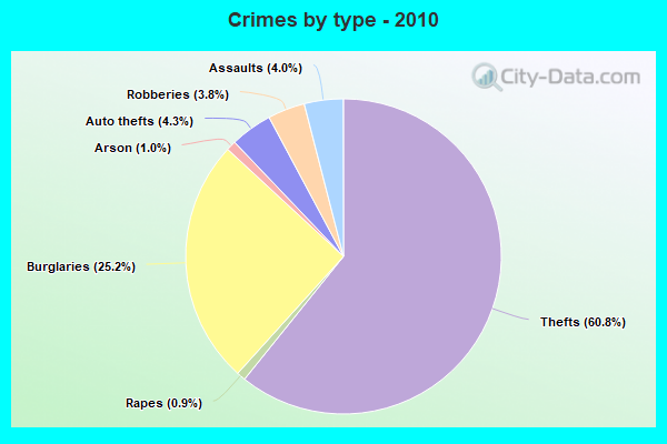 Crimes by type - 2010