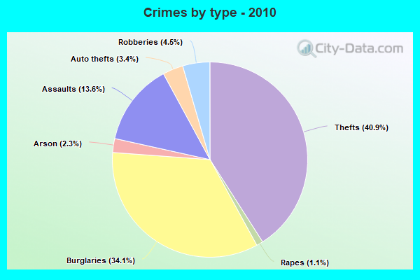 Crimes by type - 2010