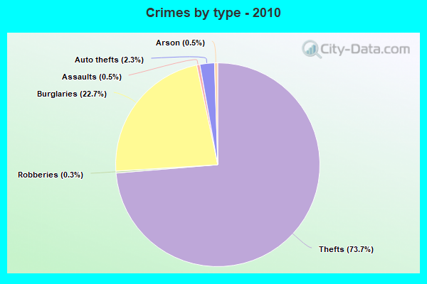 Crimes by type - 2010