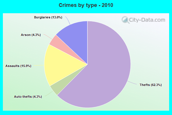 Crimes by type - 2010