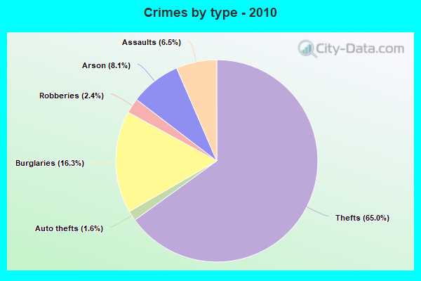 Crimes by type - 2010