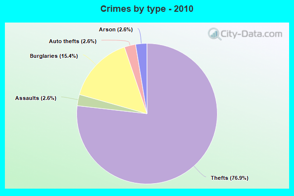 Crimes by type - 2010