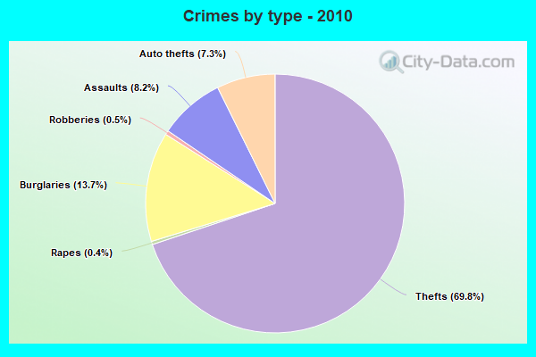 Crimes by type - 2010