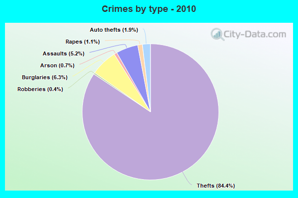 Crimes by type - 2010