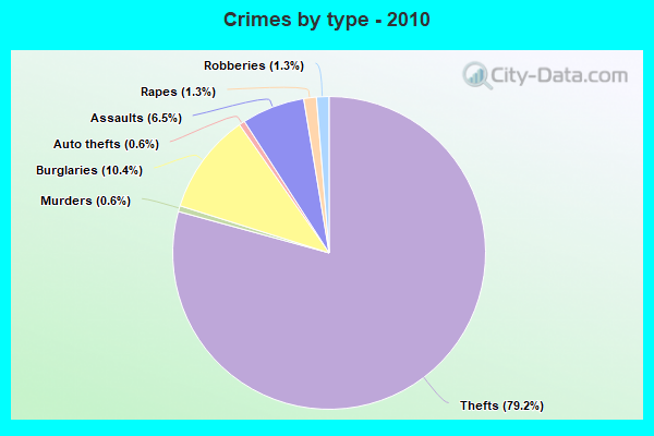 Crimes by type - 2010