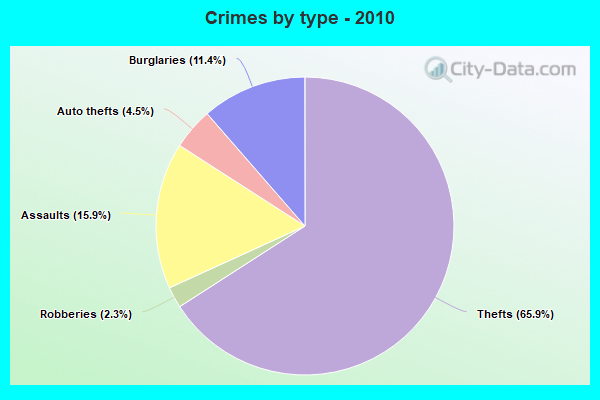 Crimes by type - 2010