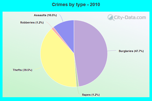 Crimes by type - 2010