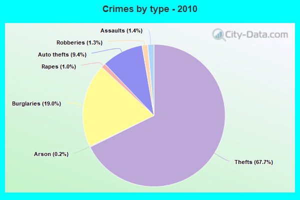 Crimes by type - 2010