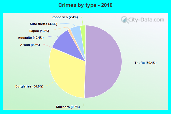 Crimes by type - 2010