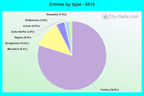 Crimes by type - 2010