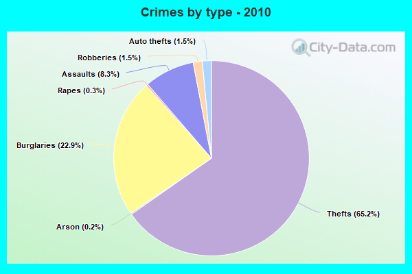 Crimes by type - 2010