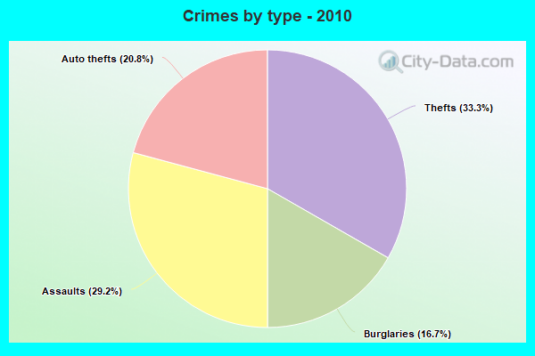 Crimes by type - 2010