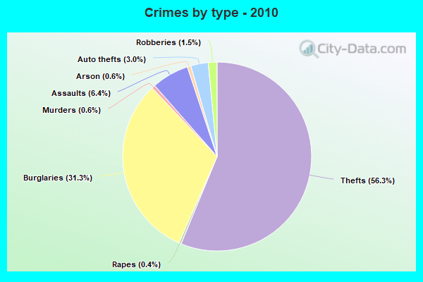 Crimes by type - 2010