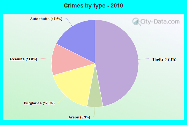 Crimes by type - 2010