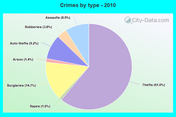 Crimes by type - 2010