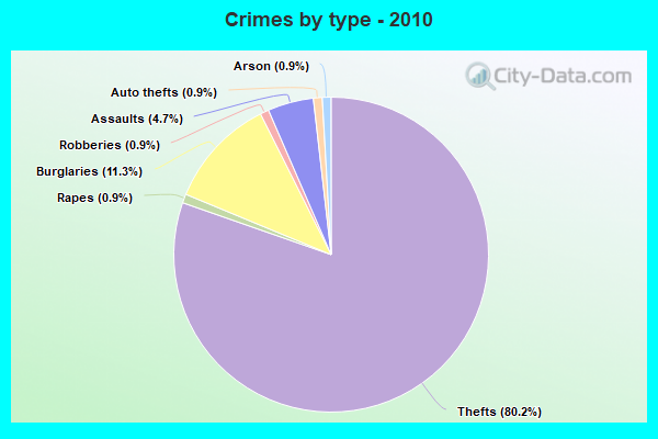 Crimes by type - 2010