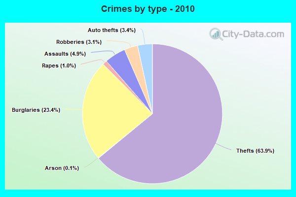 Crimes by type - 2010