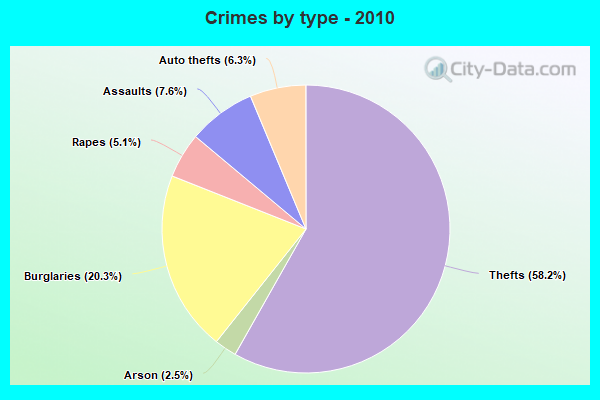 Crimes by type - 2010