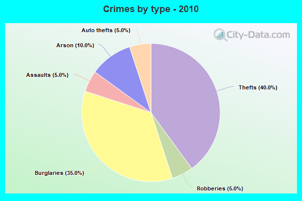 Crimes by type - 2010