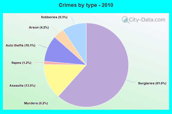 Crimes by type - 2010