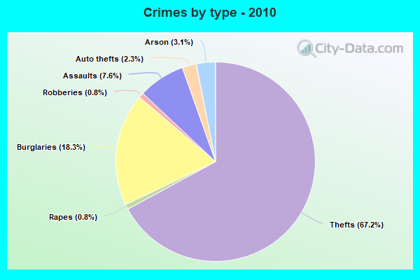 Crimes by type - 2010