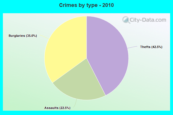 Crimes by type - 2010