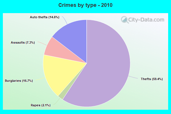 Crimes by type - 2010