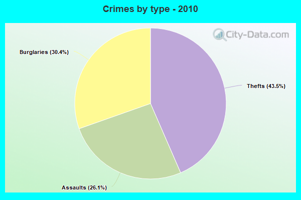 Crimes by type - 2010