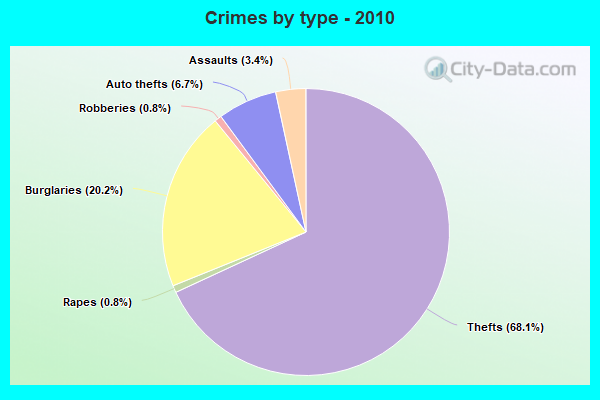 Crimes by type - 2010