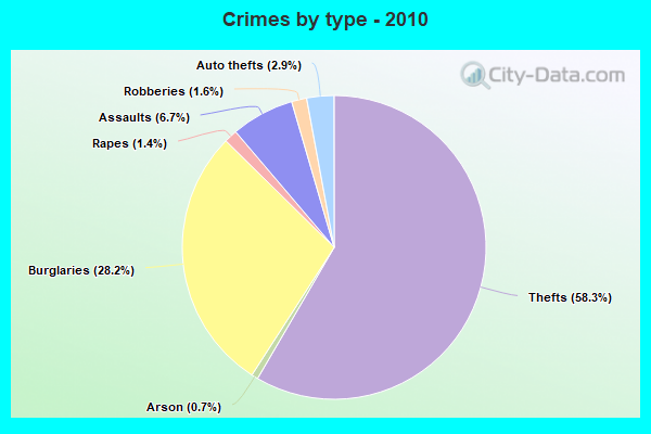 Crimes by type - 2010