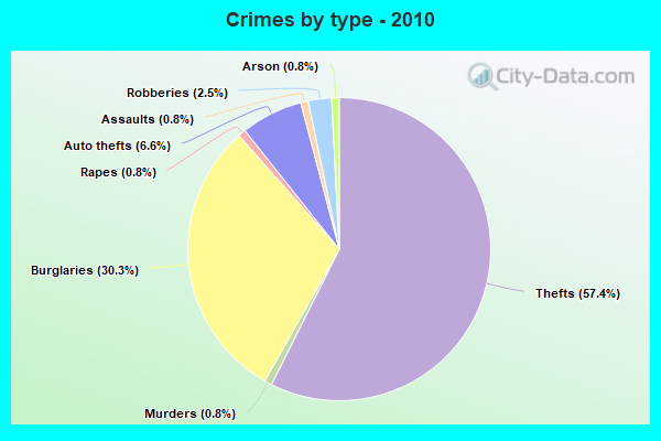 Crimes by type - 2010