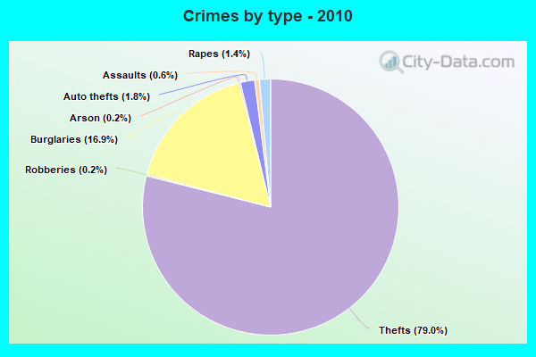 Crimes by type - 2010