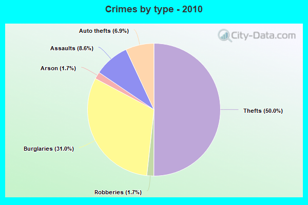 Crimes by type - 2010