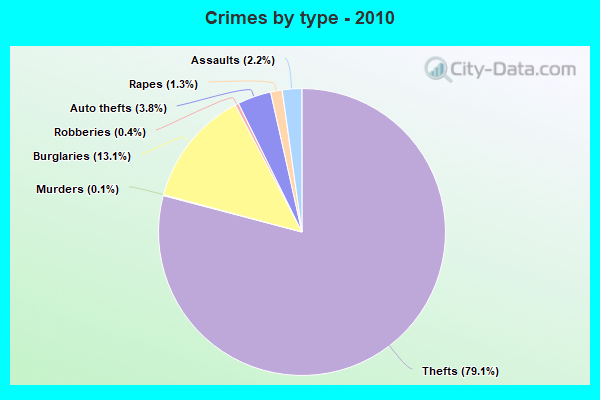 Crimes by type - 2010