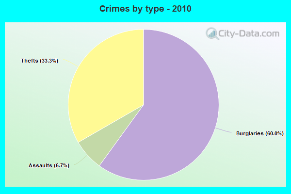 Crimes by type - 2010