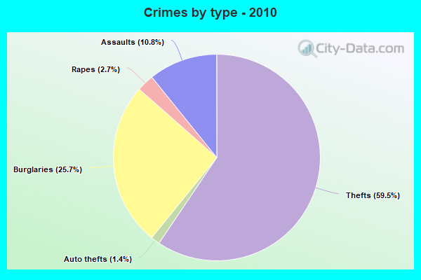 Crimes by type - 2010