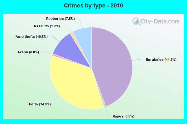 Crimes by type - 2010