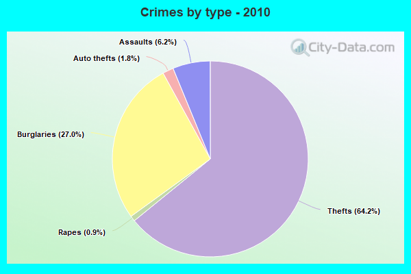 Crimes by type - 2010