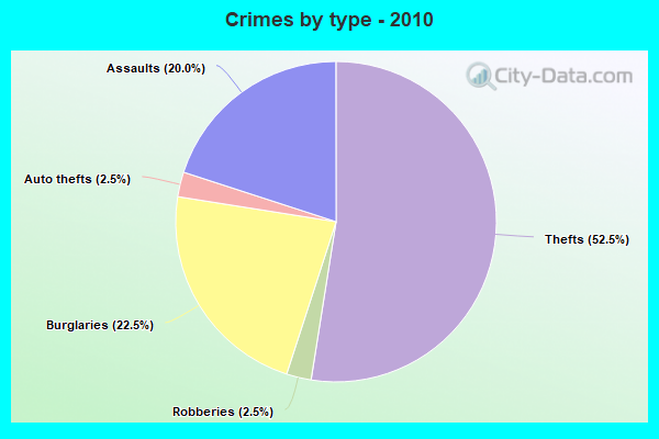 Crimes by type - 2010