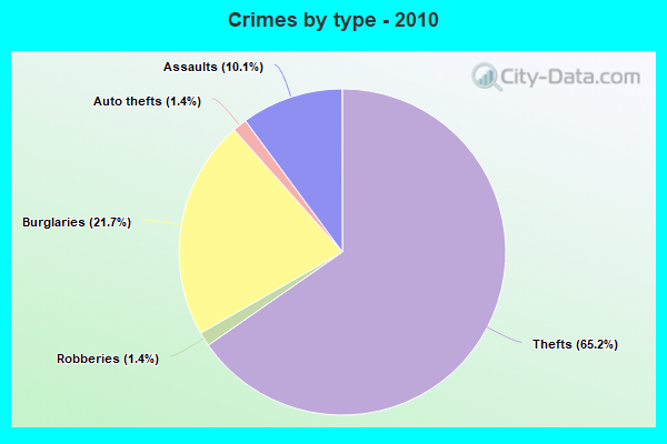 Crimes by type - 2010